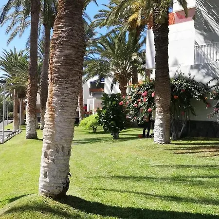 Apartamento Dos Dormitorios En Primavera Totalmente Reformado * Arona (Tenerife)
