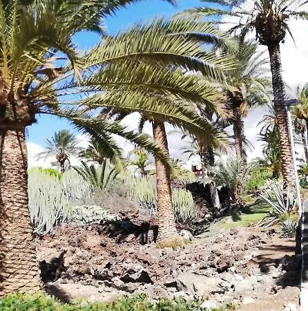 Lägenhet Apartamento Dos Dormitorios En Primavera Totalmente Reformado Arona (Tenerife)