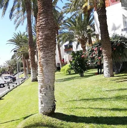 Apartamento Dos Dormitorios En Primavera Totalmente Reformado Lägenhet Arona (Tenerife)