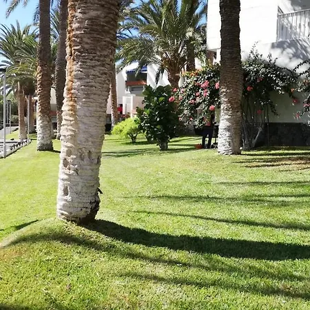 Lägenhet Apartamento Dos Dormitorios En Primavera Totalmente Reformado *