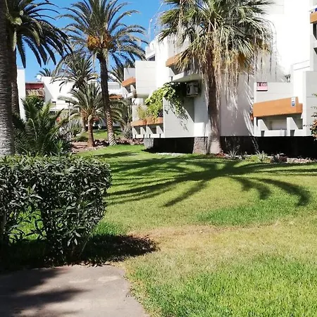 Apartamento Dos Dormitorios En Primavera Totalmente Reformado Appartement *