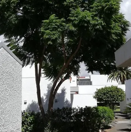 Apartamento Dos Dormitorios En Primavera Totalmente Reformado Appartement *